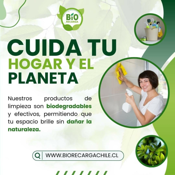 dbarrientos@biorecargachile.cl
