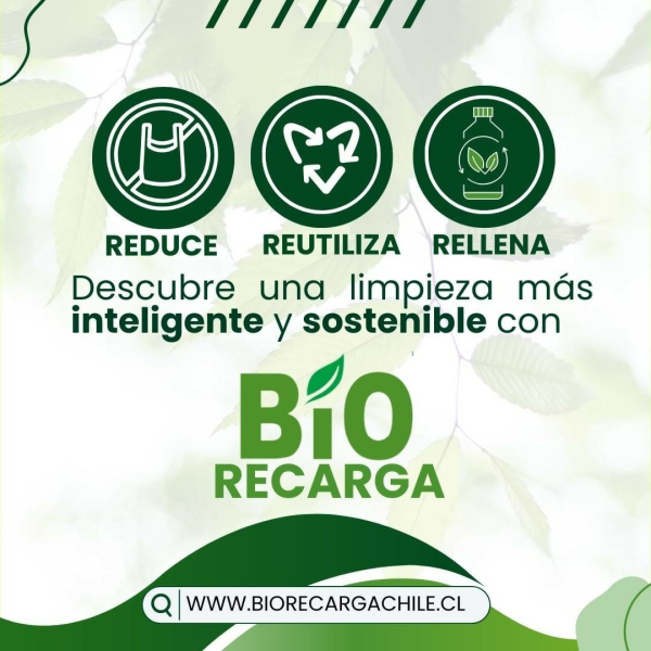 dbarrientos@biorecargachile.cl
