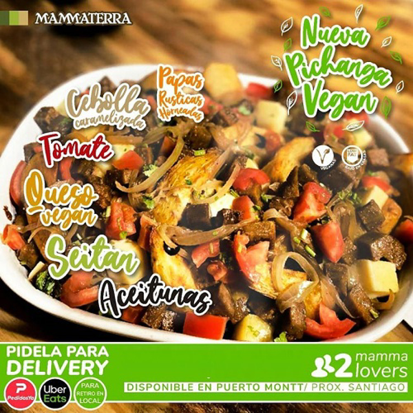 Mammaterra presenta su nueva Pichanga Vegan disponible en su franquicia de Puertomontt. 